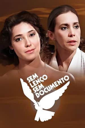 Sem Lenço, Sem Documento
