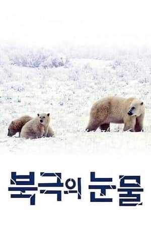 Tears in the Arctic