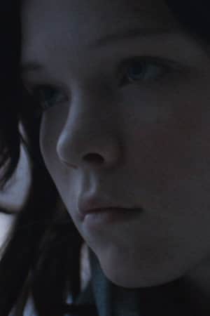 Little Dove