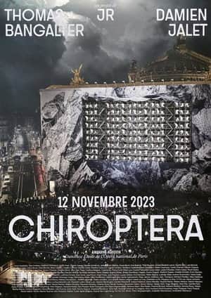 CHIROPTERA