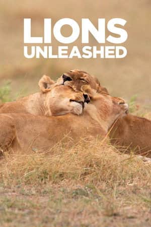 Lions Unleashed