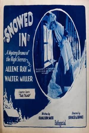 Snowed In