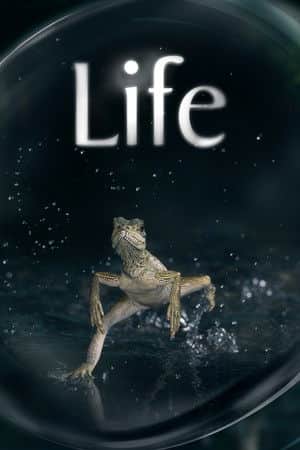 Life