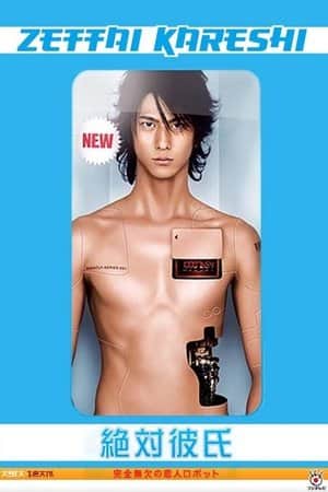 Absolute Boyfriend