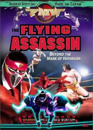 FMW Hayabusa- Flying Assassin