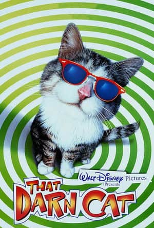 That Darn Cat
