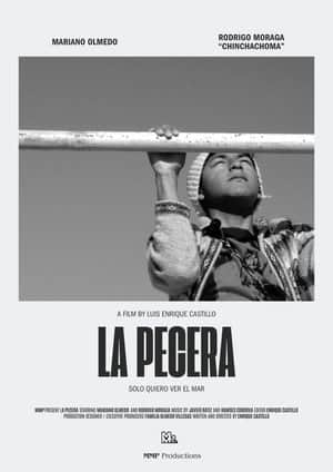 La Pecera