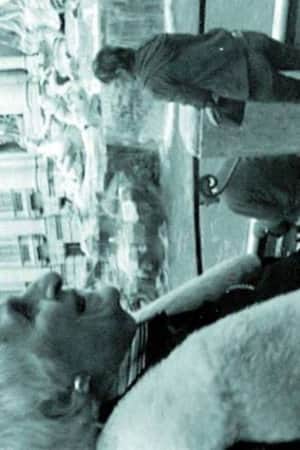 THE INTERPRETER OF BLACK AND WHITE FILMS
