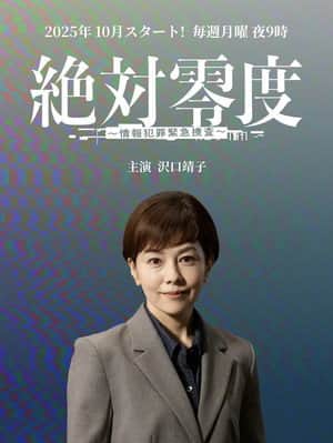 絶対零度~情報犯罪緊急捜査~