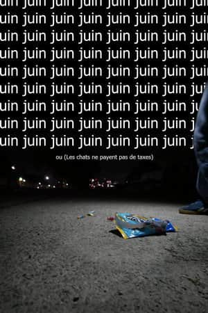 Juin ou (Les chats ne payent pas de taxes)