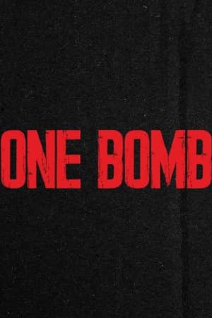 One Bomb