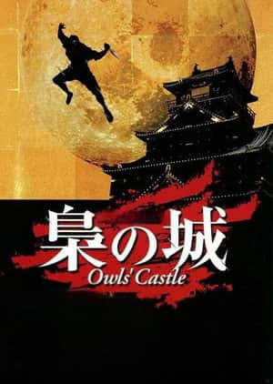 Owls' Castle