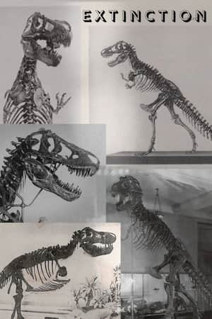 Extinction