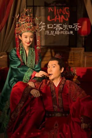 知否知否应是绿肥红瘦DVD版