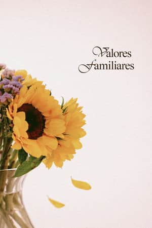 Valores Familiares