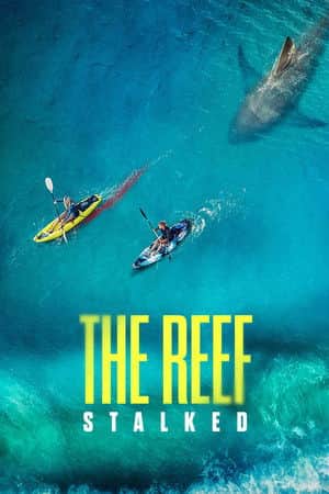 The Reef: Stalked