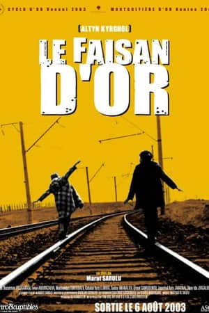 My Brother Silk Road