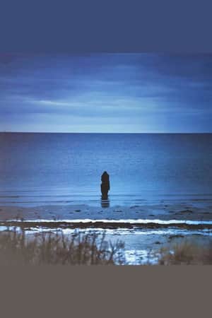 Steven Wilson: Catalogue / Preserve / Amass