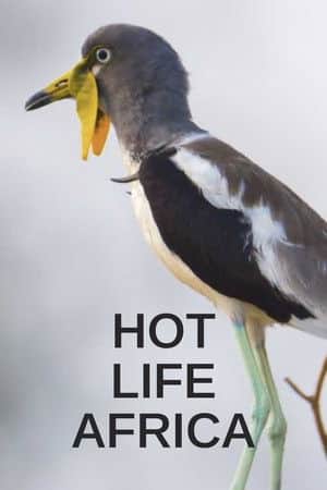 Hot Life Africa