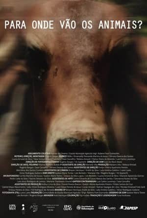 Para Onde Vão Os Animais