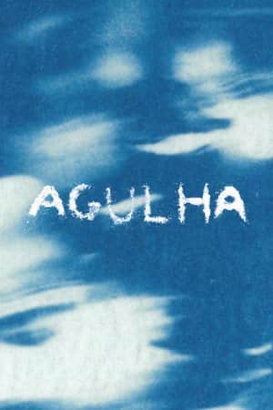 AGULHA