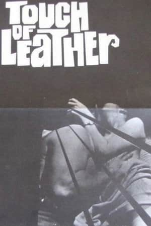Touch Of Leather