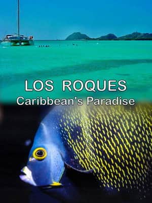 Los Roques, Caribbean's Paradise