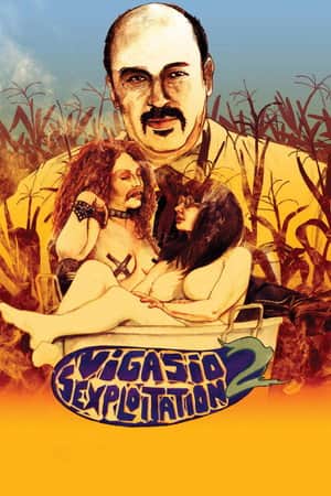 VigasioSexploitation 2