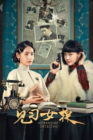 Internship Detective