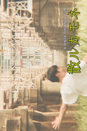 散ルカモネ