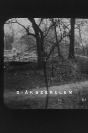 Diákszerelem