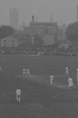 Yorks Draw with Surrey