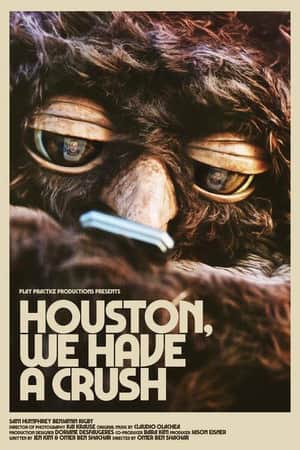 Houston, We Have a Crush