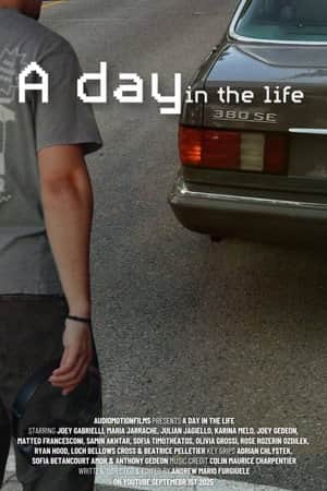 A day in the life