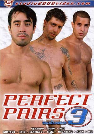 Perfect Pairs 3