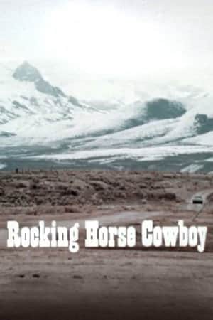 Rocking Horse Cowboy