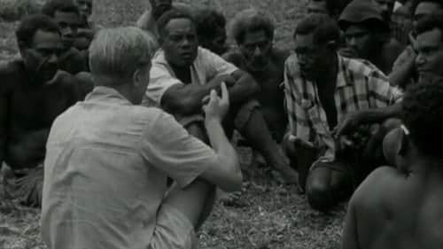Cargo Cult