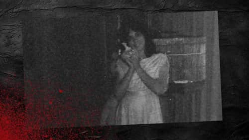 Tampa Terror