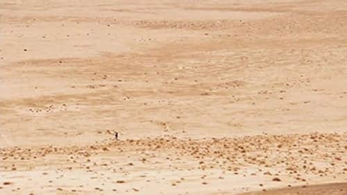 Desert