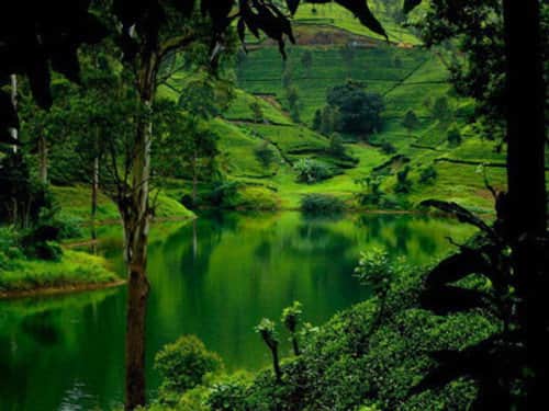 Sri Lanka: Monsoon Island