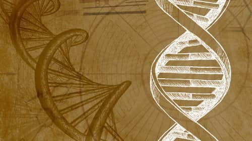 Empowered Genetics