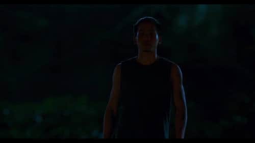 The Fall