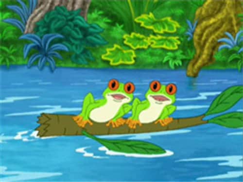 Rescue the Red-Eyed Tree Frogs!