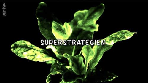Super strategies