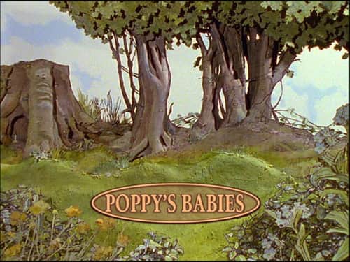 Poppy's Babies