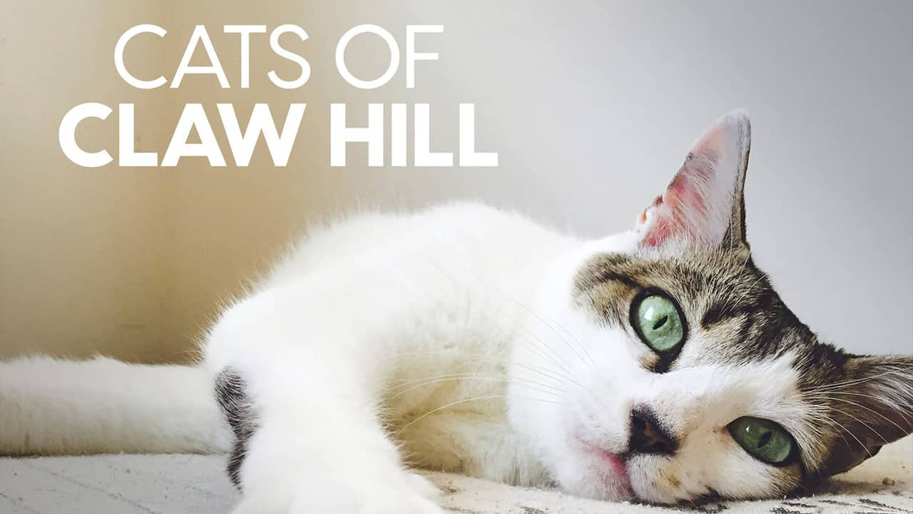 Cats of Claw Hill backdrop