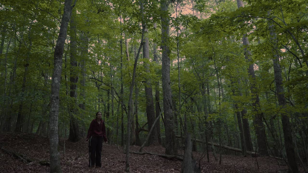 Echoes of the Absent backdrop