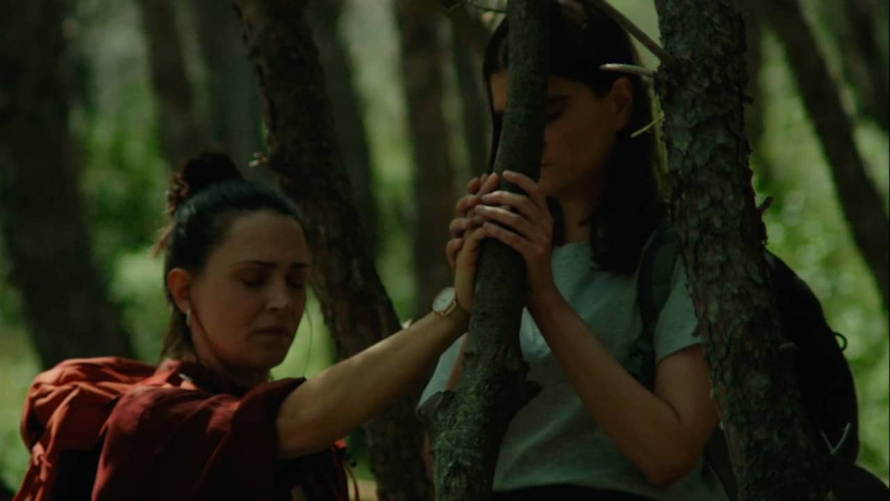 Don’t Try This in the Woods backdrop