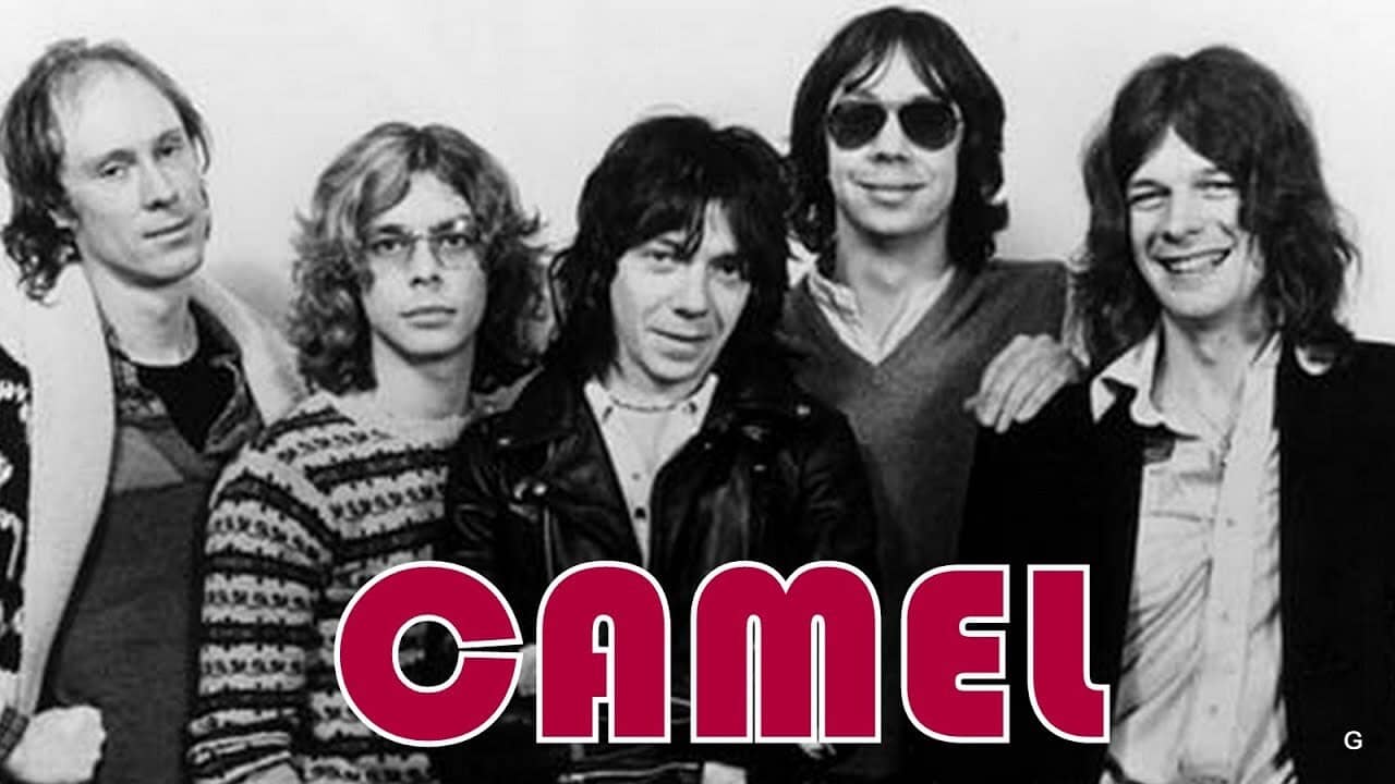 Camel - Moondances backdrop