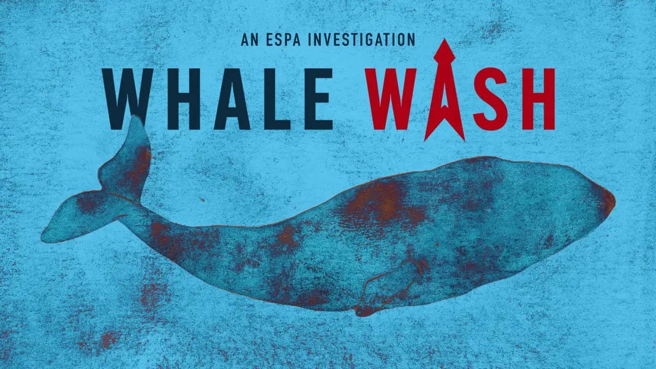Whale Wash backdrop